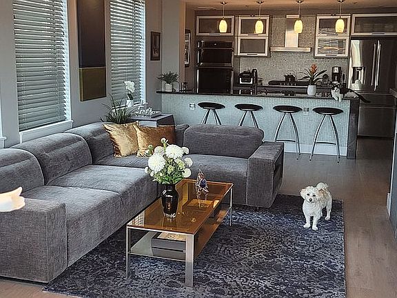 Living room/Kitchen