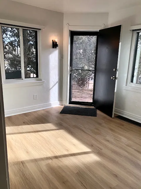 One of the two entry doors- entering the living room