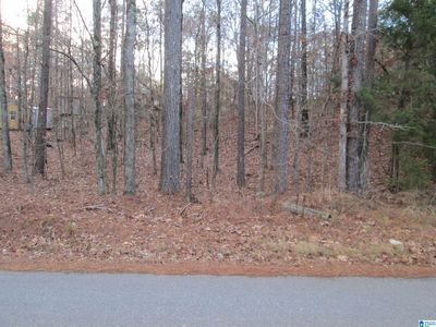 Parsons Dr Lot 3, Vance, AL, 35490