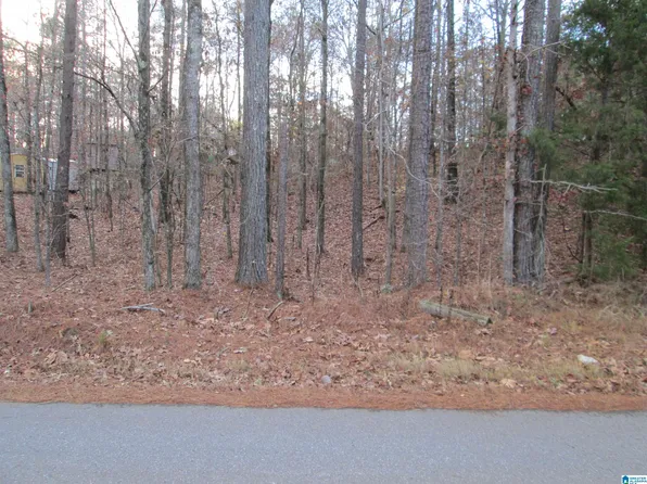 Parsons Dr Lot 3, Vance, AL 35490