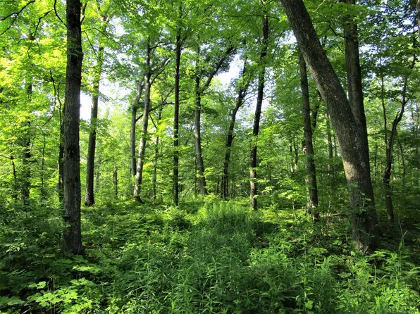 Xx 220th Ave, Milltown, WI 54858