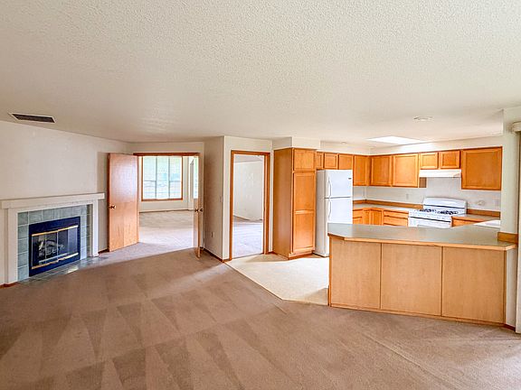 GAS FIREPLACE