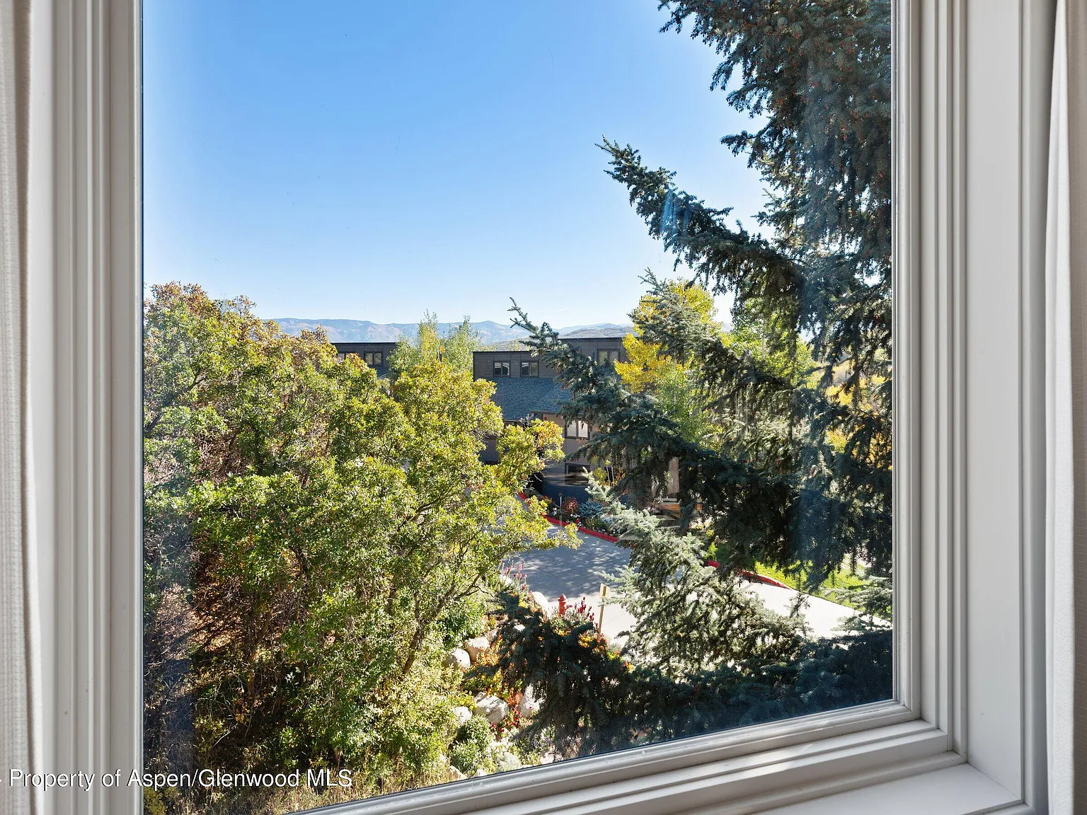 35 Upper Woodbridge Rd — Photo 4