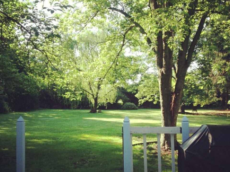 Back yard view