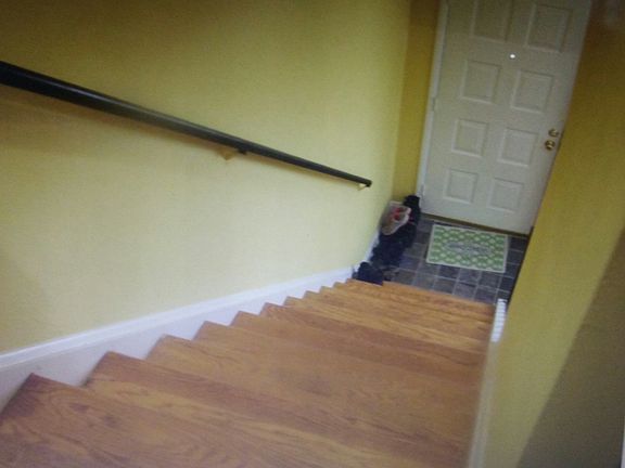 Hard wood floors and stairwell