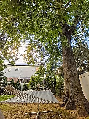 3rd image of 8619 107th Ave