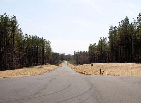 4th image of 238 Swicegood Farms Ln