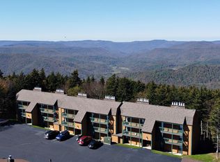 58 Ridgewood St, Snowshoe, WV 26209