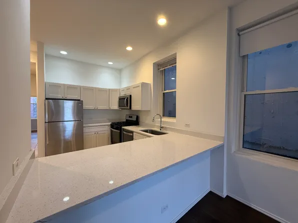 311 W Chicago Ave APT 3, Chicago, IL 60654