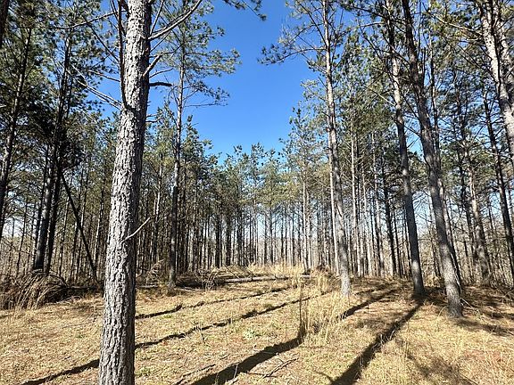 3rd image of 173 Center Ridge Dr Lot 91