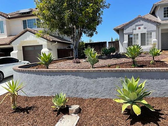 Low maintenance yard