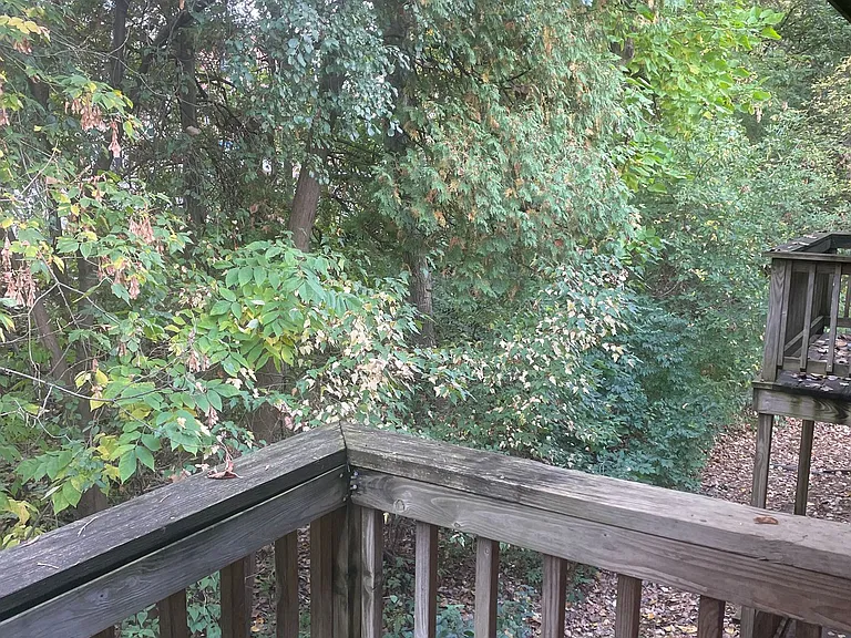 One bedroom apartment with balcony — Photo 7