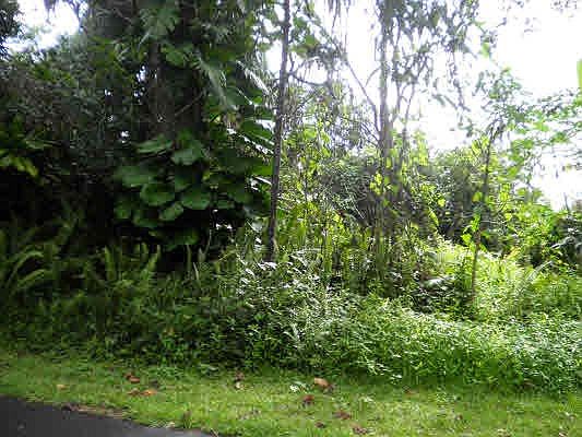 1st image of Kii Nani Pl Lot 26