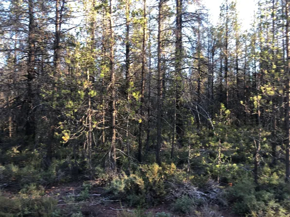Munson Drive Block #3-lot 2, Chiloquin, OR 97624