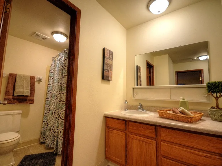 Bathroom sink vanity separate from tub and toilet area