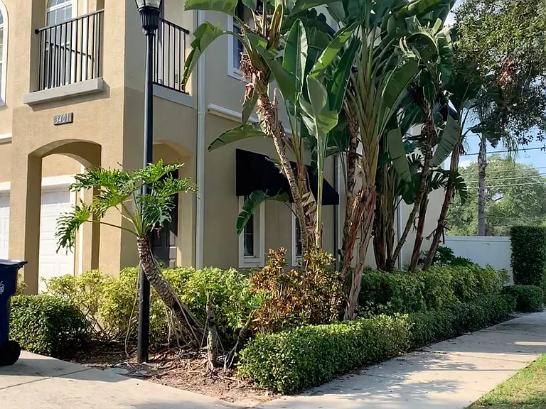 Front corner/ sidewalk