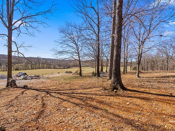 3rd image of 928 Red Bird Ln