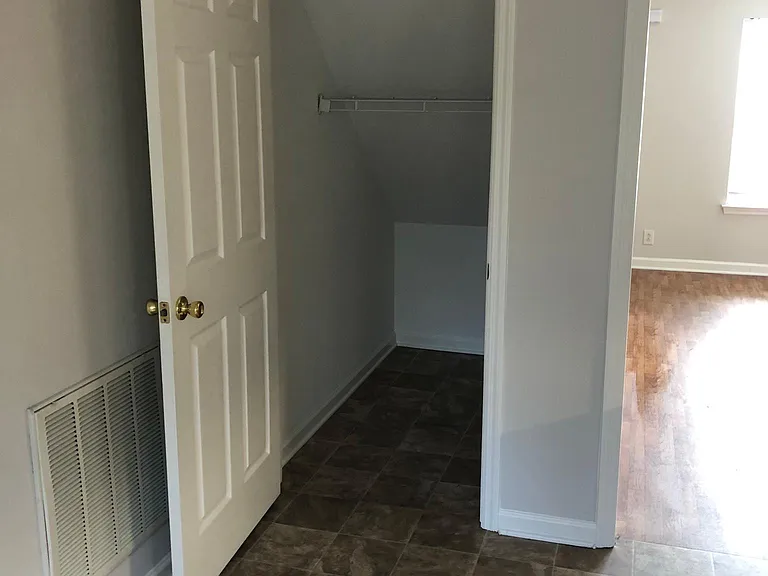 Pantry/Kitchen closet