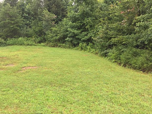 Corner of the back yard