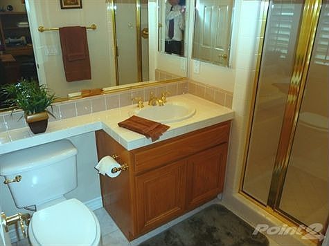 Downstairs BATH (with downstairs bedroom)