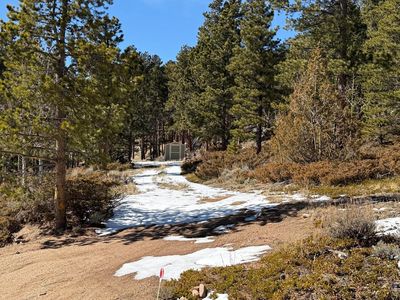 711 Osage Trl, Red Feather Lakes, CO, 80545