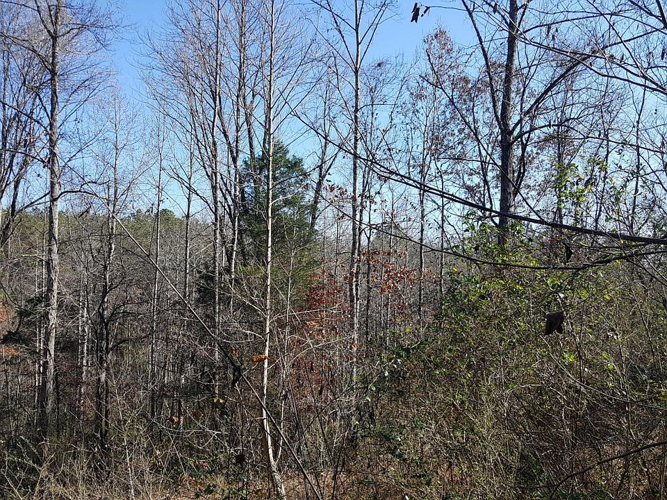2nd image of Reagan Valley Rd
