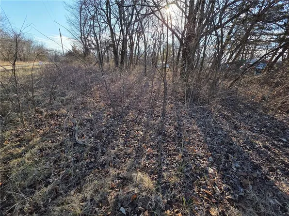 18 Locust Ln, Mound City, KS 66056