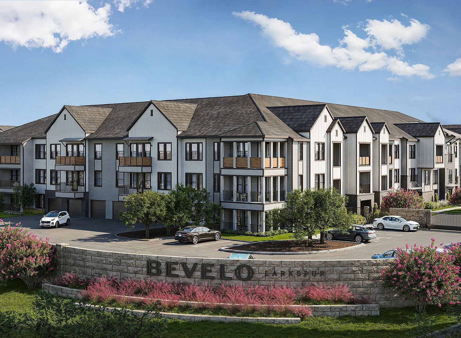 Bevelo Larkspur — Photo 1