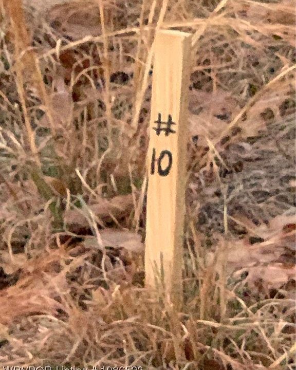 1st image of Wildwood Ln #10