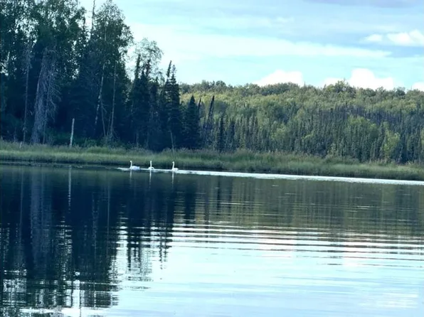 21 W Bj, Lake Skwentna, AK 99688