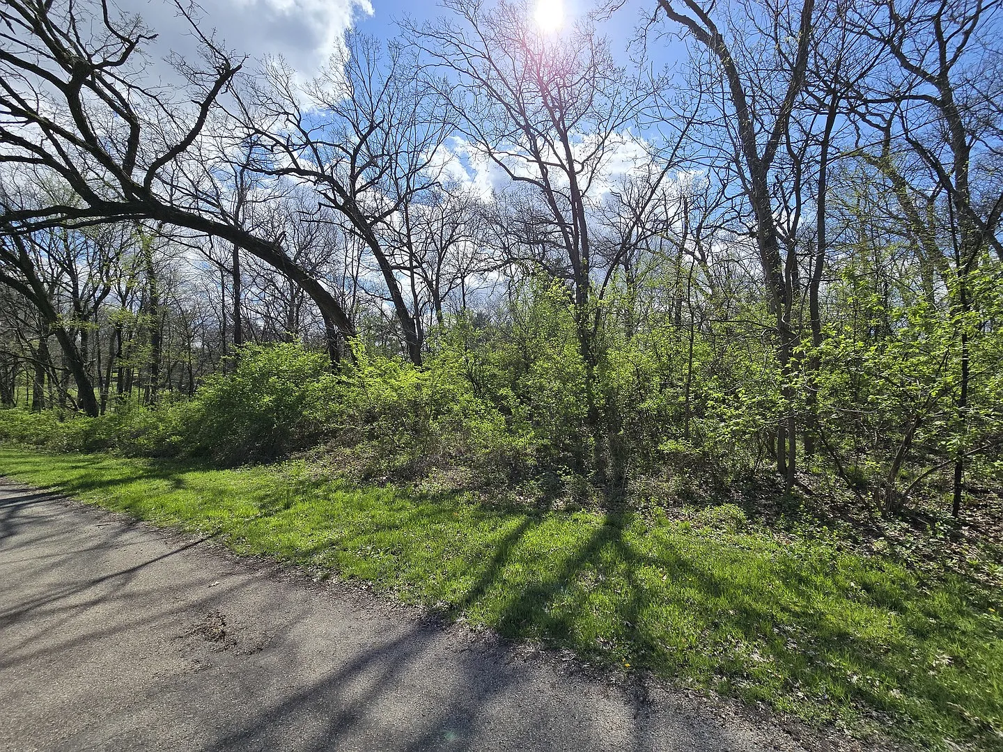 Studio, $4,999 — Photo 4