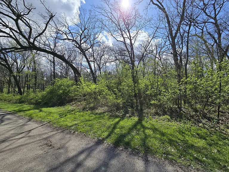 211 Maple Ln — Photo 4