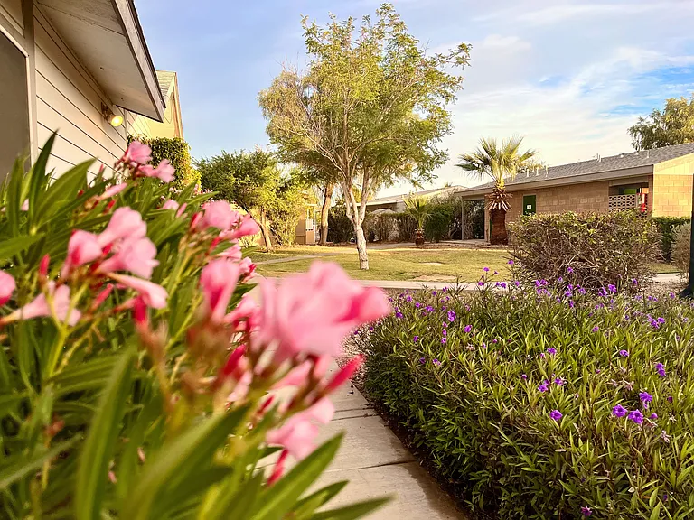 El Rancho Estates — Photo 7