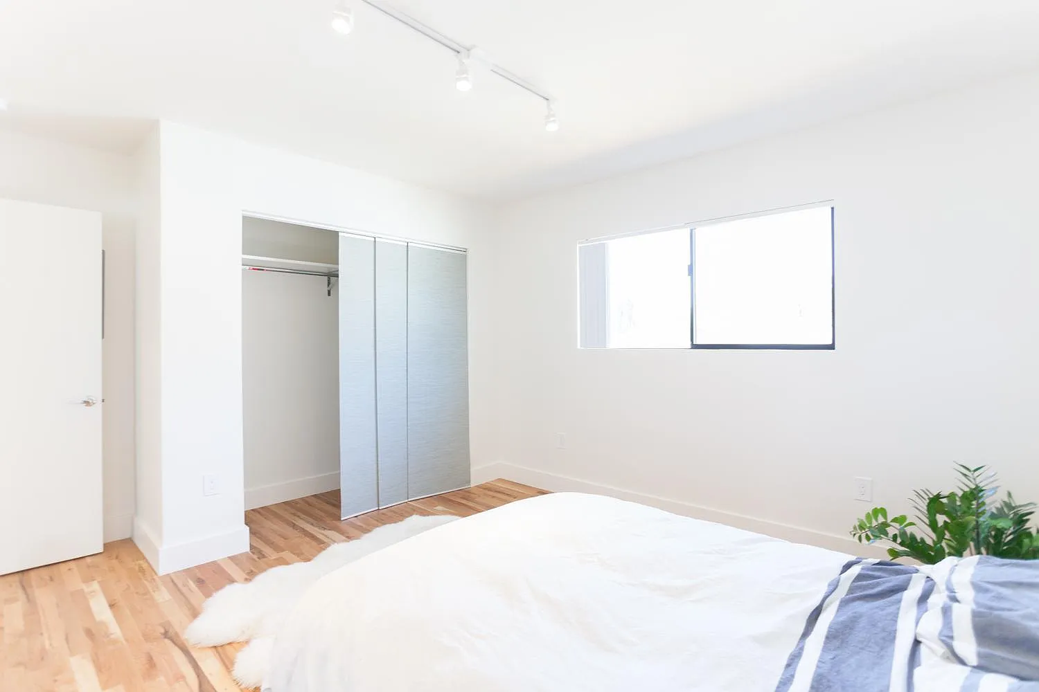 2 bed, 900 sqft, $3,000 — Photo 1