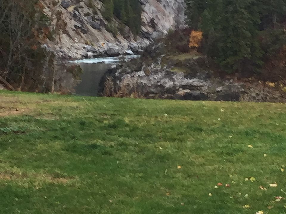 View from the back yard