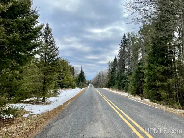 Smokey Lake Rd, Iron River, MI 49935