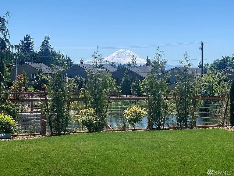 View from the Ponds