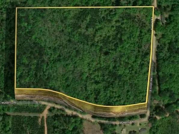 0 Mulberry Moore Rd, Brantley, AL 36009