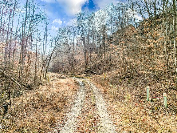 5th image of 113 Smokey Mountain Way N