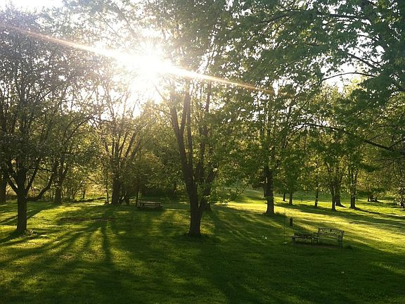 Backyard in late Spring