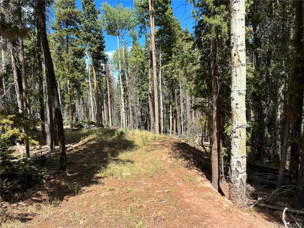 LOT 2380 Benton Road, Fort Garland, CO 81133