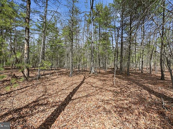 4th image of 16F Back Mountain Rd