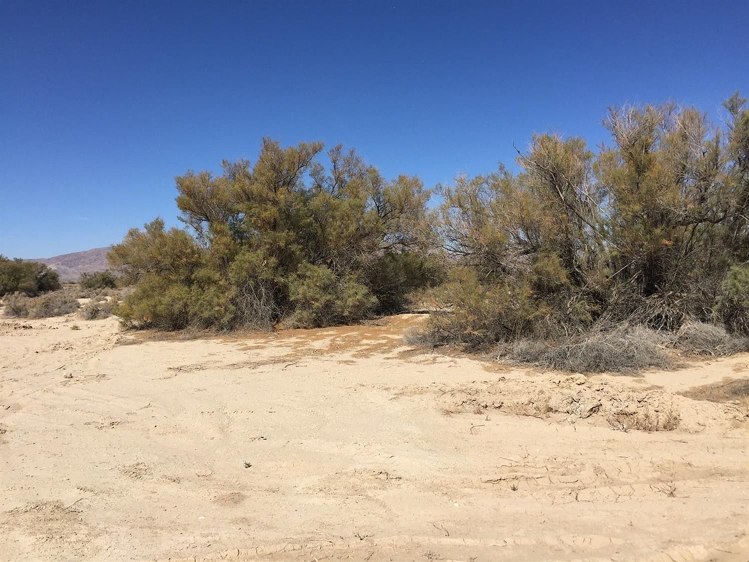 Weather Lucerne Valley CA 92356 Forecast