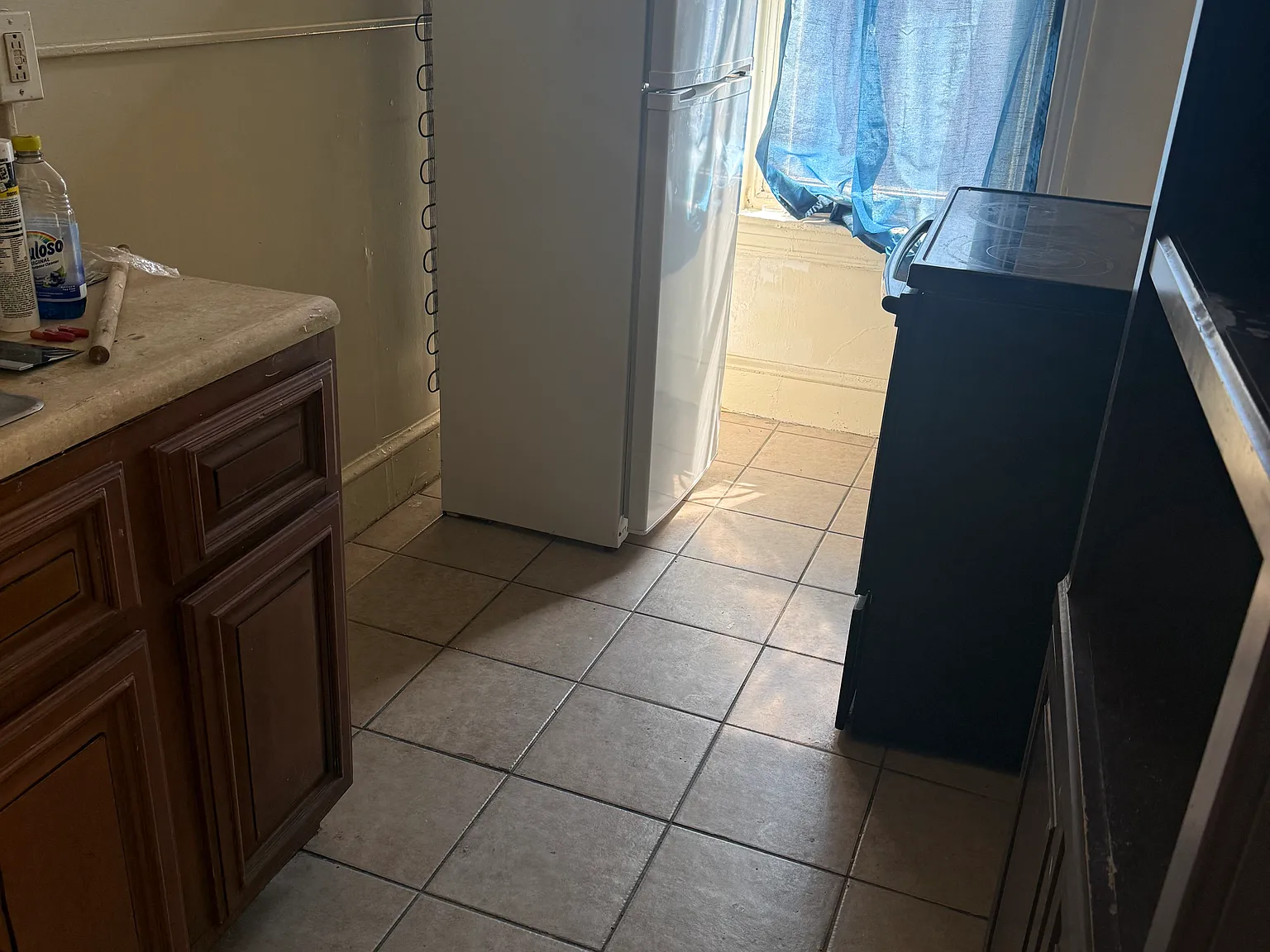 1 bed, $950 — Photo 2