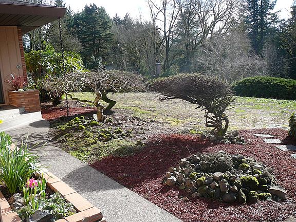 Front yard