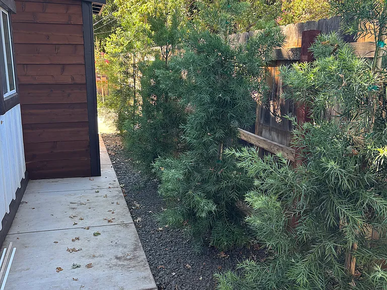 Chestnut St — Photo 10