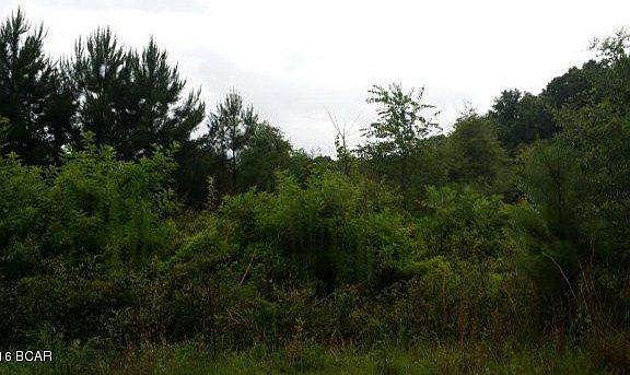 2nd image of 4242 Chapel Branch Dr