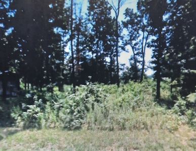 515 Lakewood Dr Lot 18, Beechgrove, TN, 37018