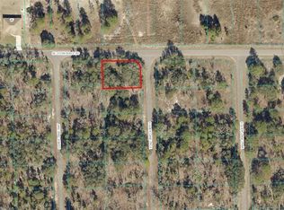 0 SE 115th Place Road & Fisher Lane Trce #12, Ocklawaha, FL 32179