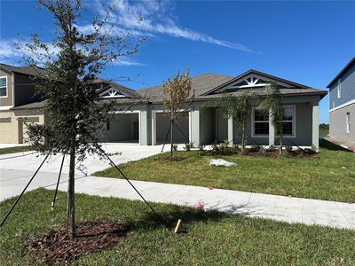 15157 Zircon Red Dr, Wimauma, FL, 33598